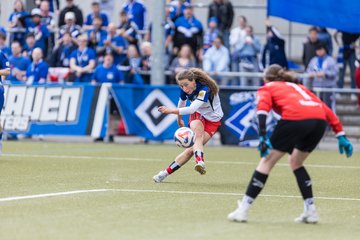Bild 179 - wBJ Hamburger SV - FC Suederelbe : Ergebnis: 9:0